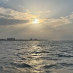 Death of a Popular Poet